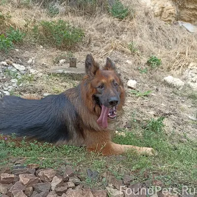 Пропал 