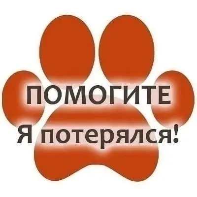 Пропал Рич, немецкая овчарка, район авиационной