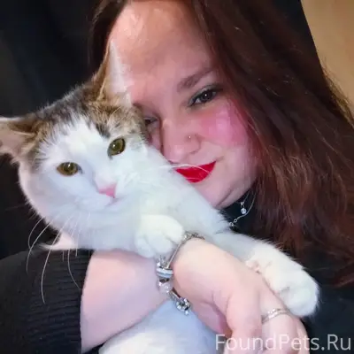 Пропал кот, Молодежная улица 19А