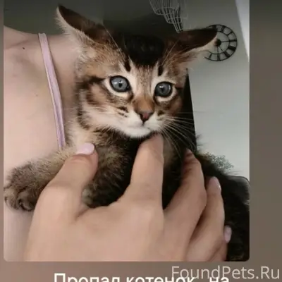 Пропал мейкун, район аэродром