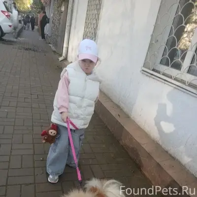 Пропала собака Пэпа, район вагонного депо
