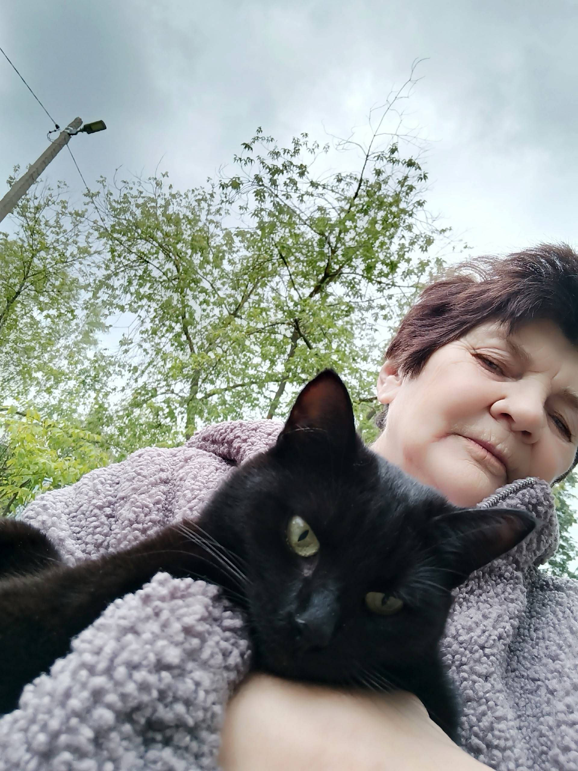 Пропала чёрная кошка, стерилизованная
