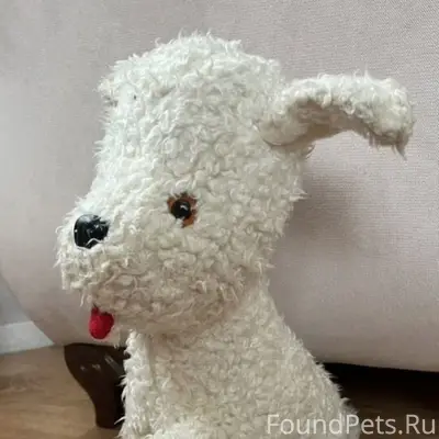 Пропал пёс, 