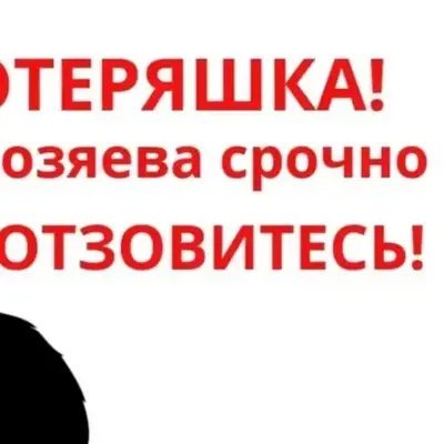 Найдена кошка, светло-рыжая, улица Артамонова