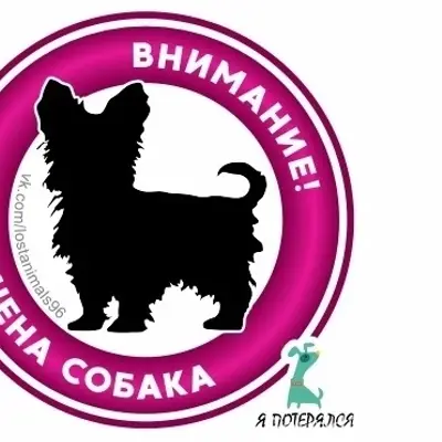 Найден метис, Екатеринбург, Анри Барбюса