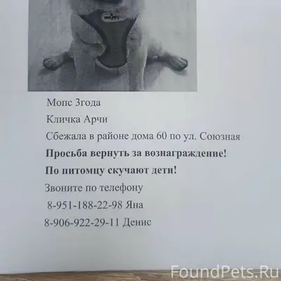 Пропал мопс Арчи, Красная горка