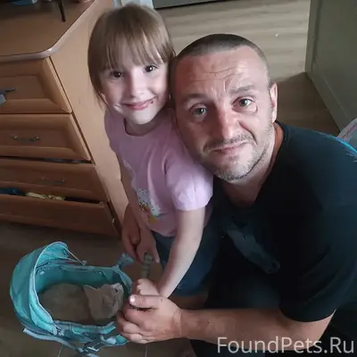 Пропал кот Кеша