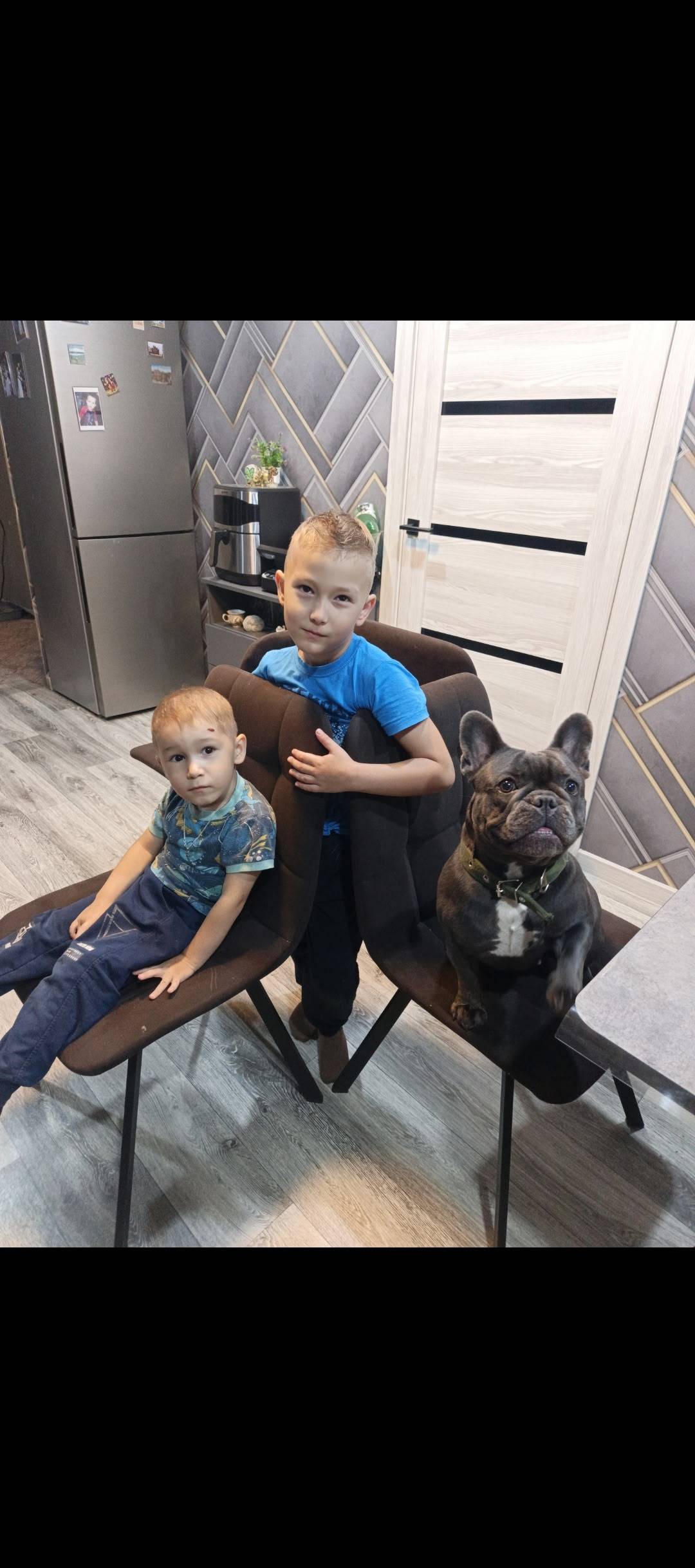 Пропала собака,
