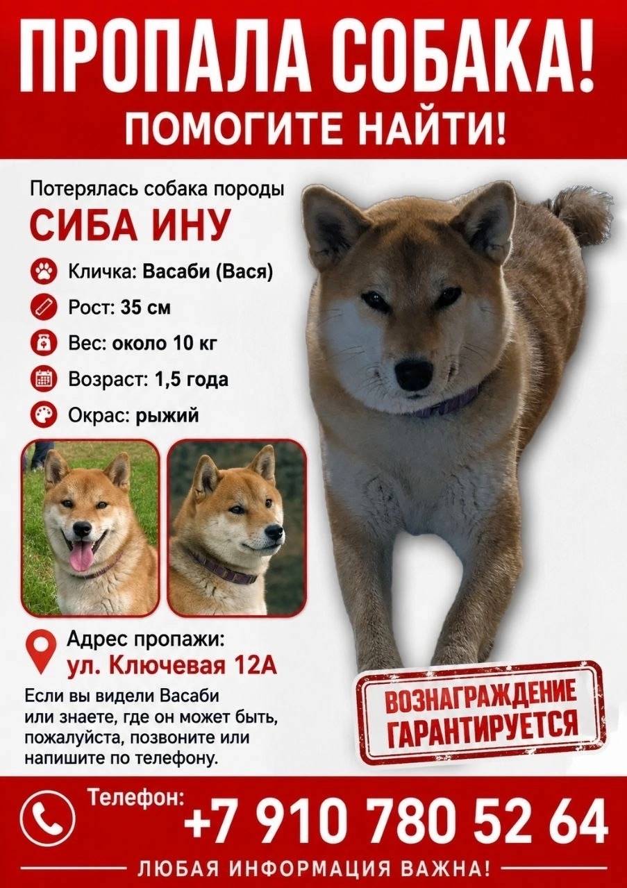Пропала собака, район Батеки-Гнездово