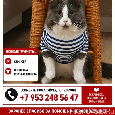 Пропал метис, Д. Филатова Гора