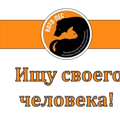 Найден щенок, Андреевский район