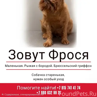 Пропала собака, г. Кимры
