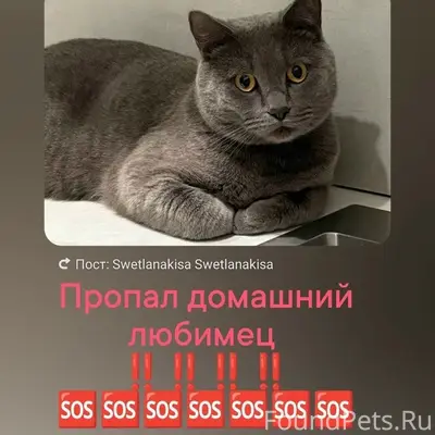 Пропал британец, район Нариманова, Ростов-на-Дону
