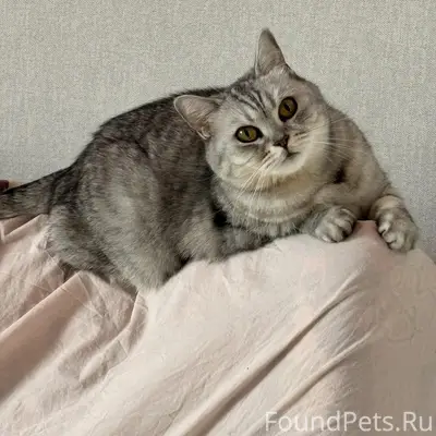 Пропала британка Мила, Ревда