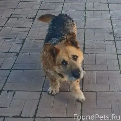 Пропал Гром, район Рудничный, шахта Северная