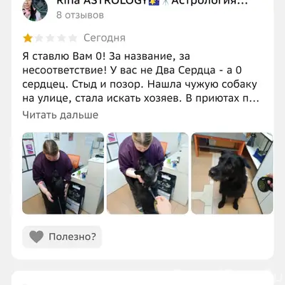 Найден пёс, Южный