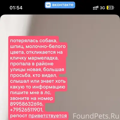 Пропала собака, улица Новая