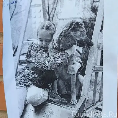 Пропала дворняжка Эби