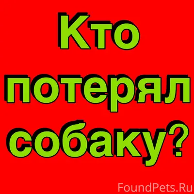 Пропала собака, похожа на овчарку, Калуга