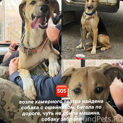 Найден тип неизвестен, без клички
