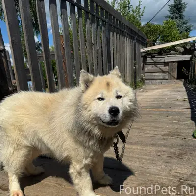Пропал Джек, район Халтурина