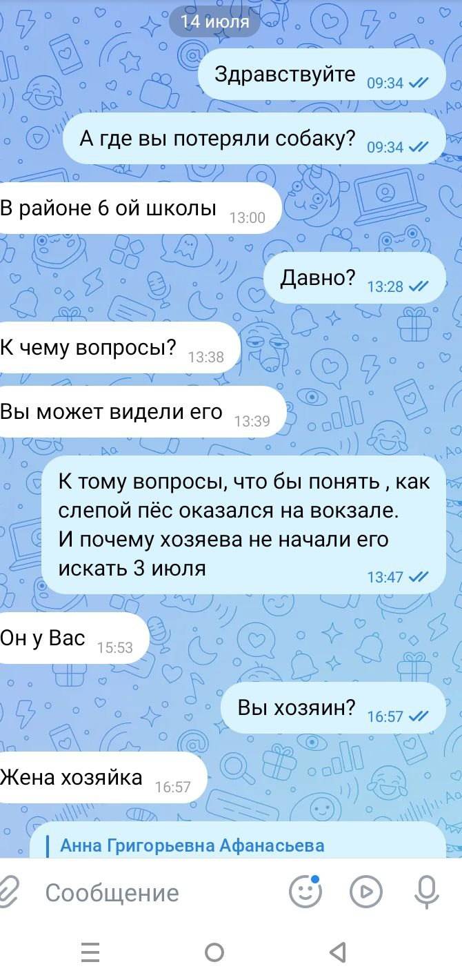 Найден пёс