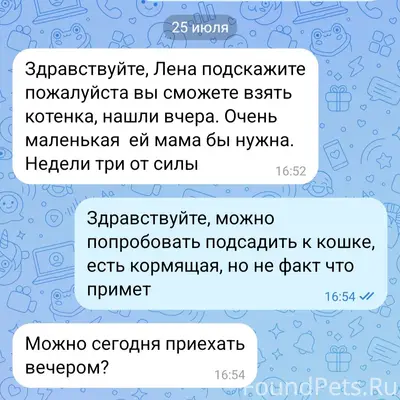 Найден котёнок, найден на улице
