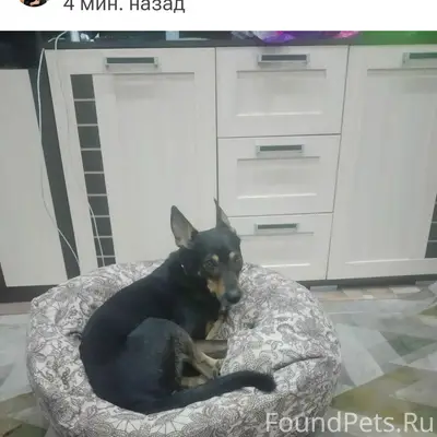 Пропал мальчик Ричард, Этилен