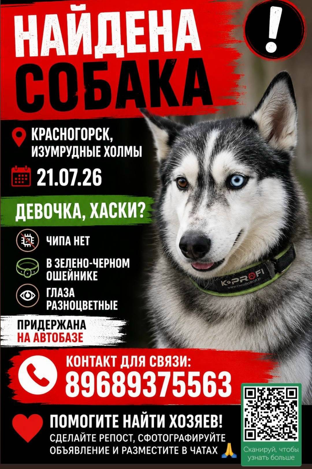 Найдена хаски, Красногорск, Изумрудные холмы