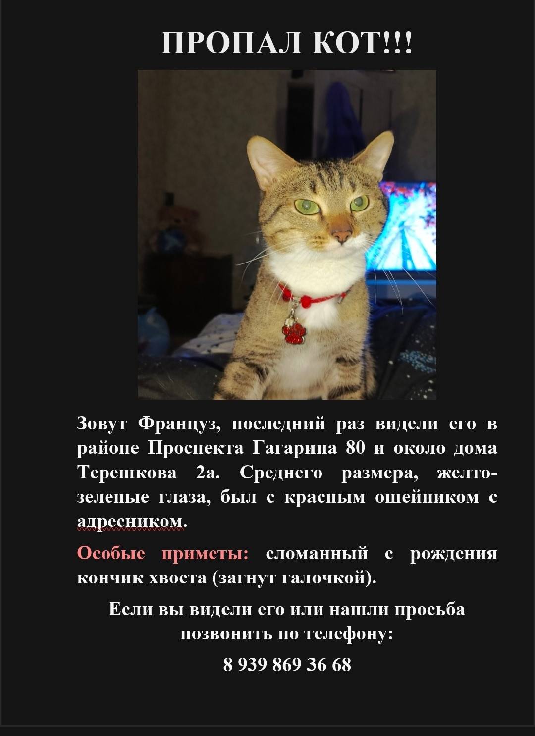 Пропал кот, Приокский район