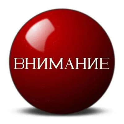 Пропал кобель, город