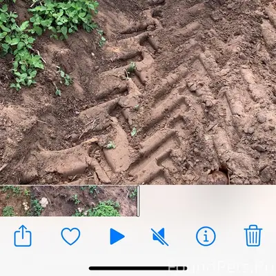 Пропал пёс Захар, деревня Сояна