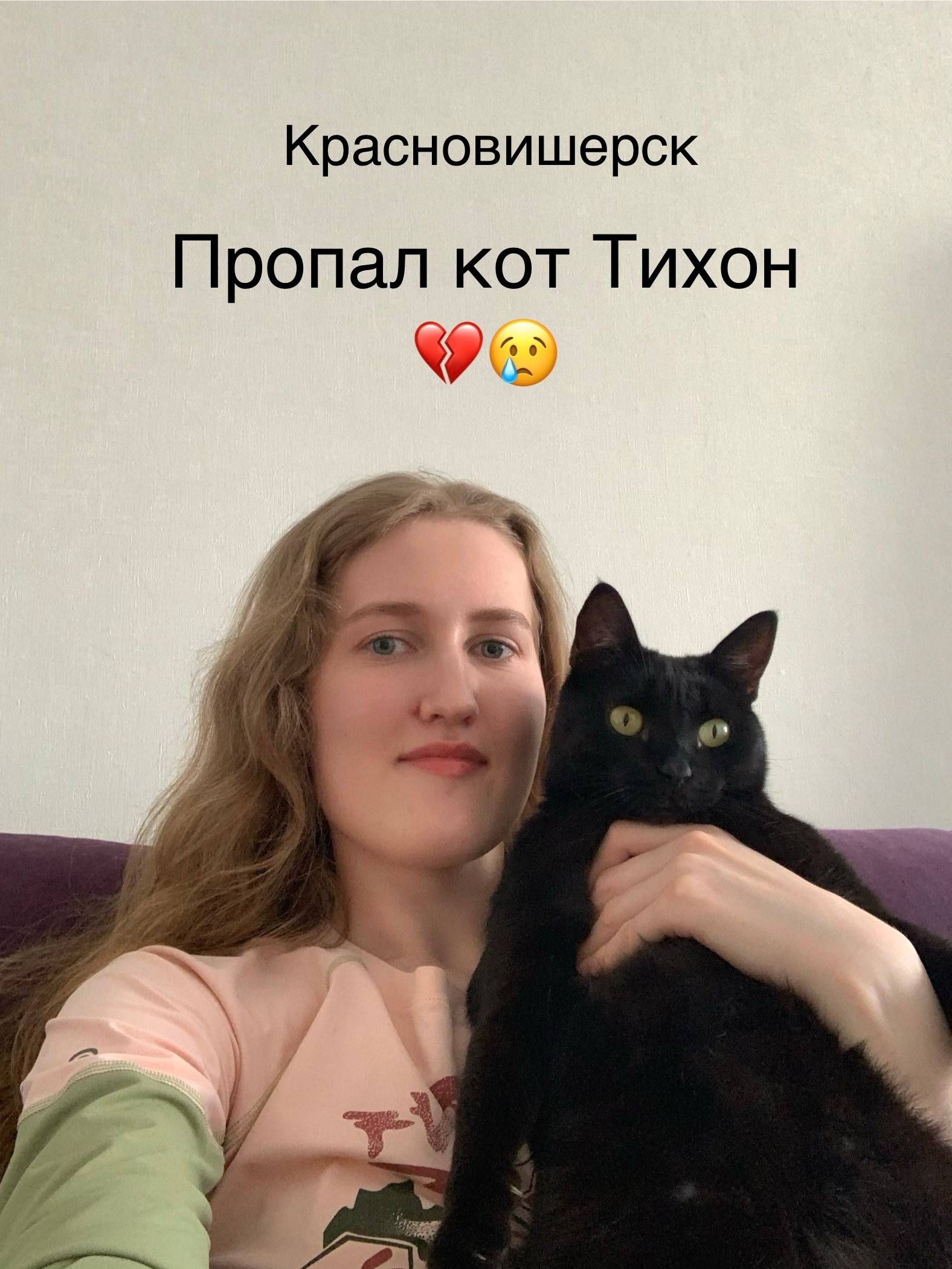 Пропал кот Тихон, Красновишерск