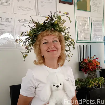 У кого-то пропала собака...
"Пропала...