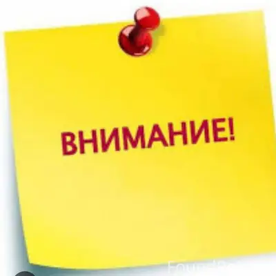 Пропал пёс, возрастная собака, река Койва