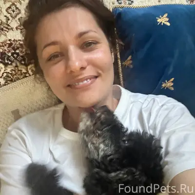 Пропал пёс Никос, бывшая улица Садовая