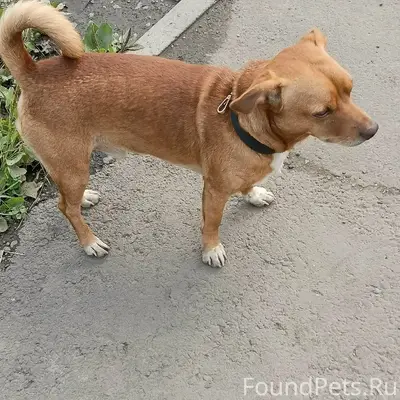 Найден кабель