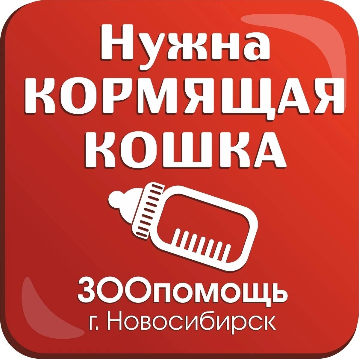 Найден котенок, слепой