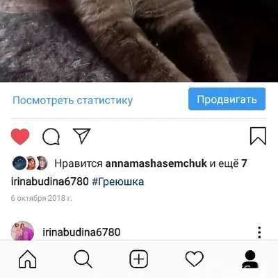 Пропал кот Грей, Григорово