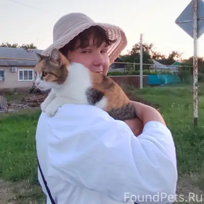 Пропала кошка Кисочка, Архипка