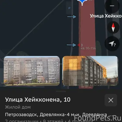 Найдена кошка и 5 котят, улица Хейкконена