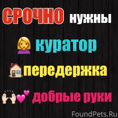 Найден котёнок-подросток, Зверосовхоз