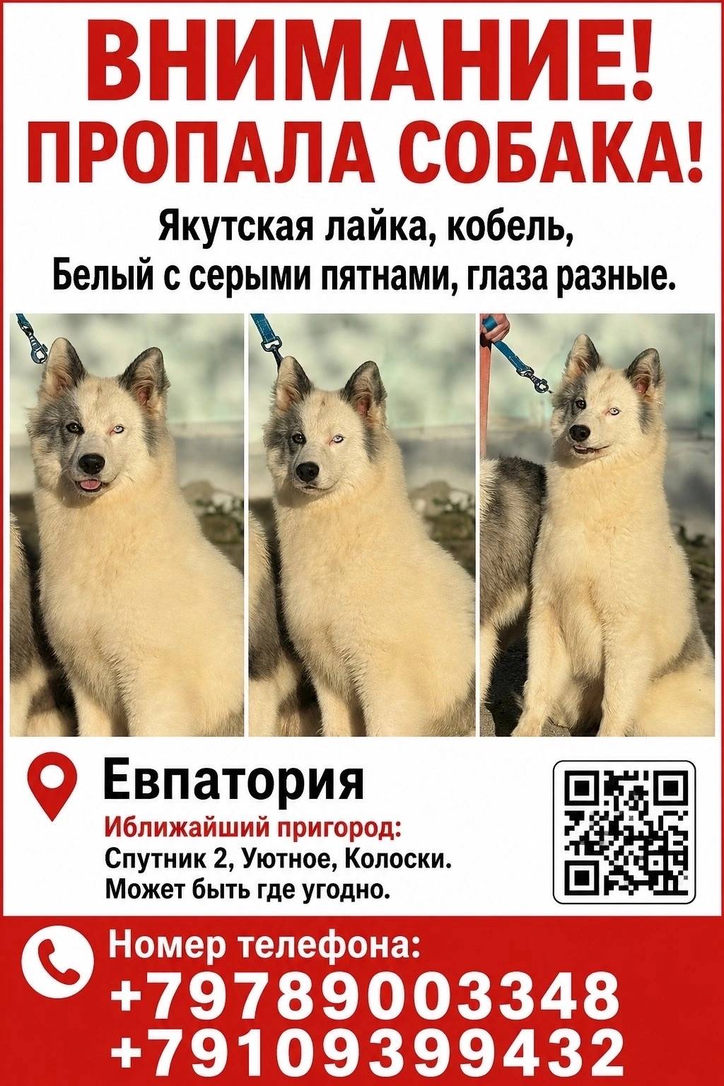 Пропала собака, Евпатория и окрестности