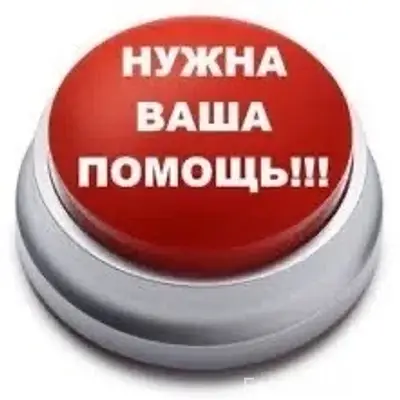 Пропала немецкая овчарка, Вельский район