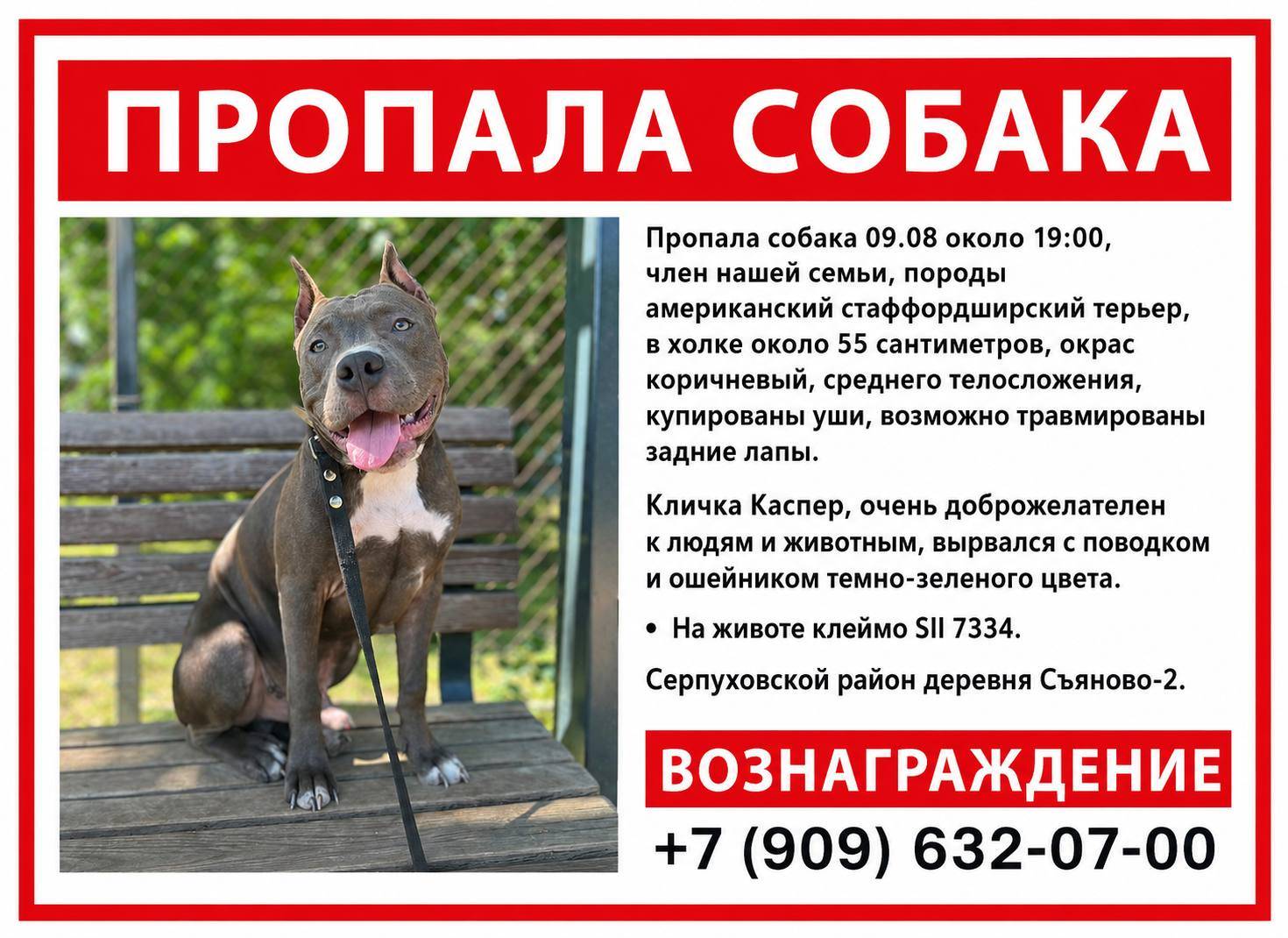 🆘ПРОПАЛА СОБАКА🆘