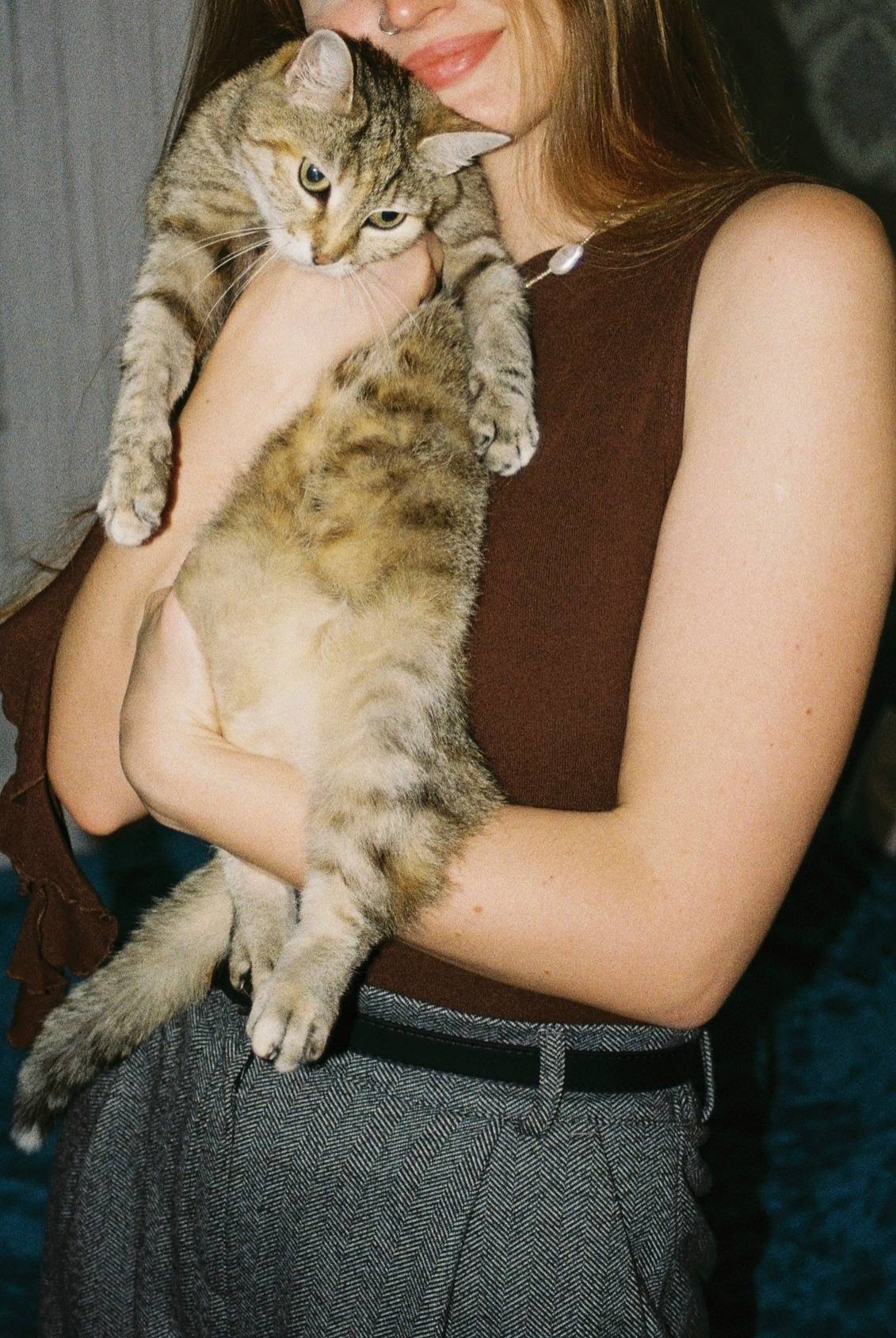Пропала домашняя кошка, Южная Озереевка