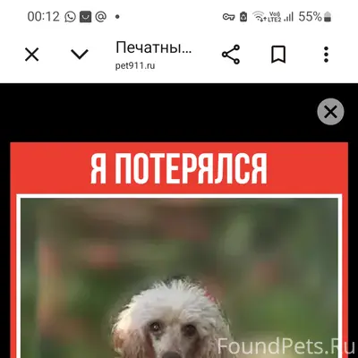 Я Потерялась!!!
