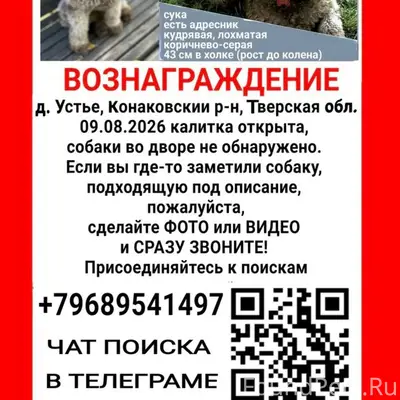 Пропала собака Афина, д. Устье, Конаковский р-н
