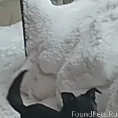 Пропал кабель, Новоалтайск