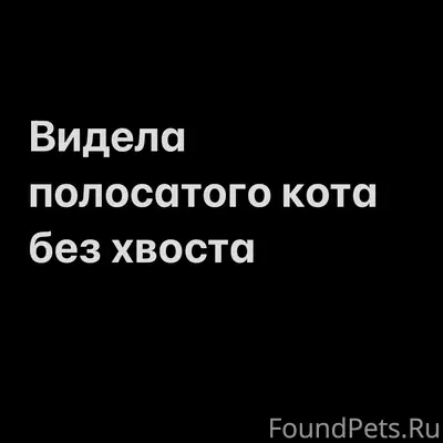 Видела бесхвостого крупного полосатого кота 